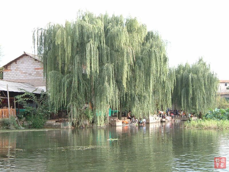 按此在新窗口浏览图片