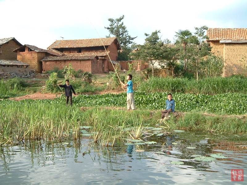 按此在新窗口浏览图片