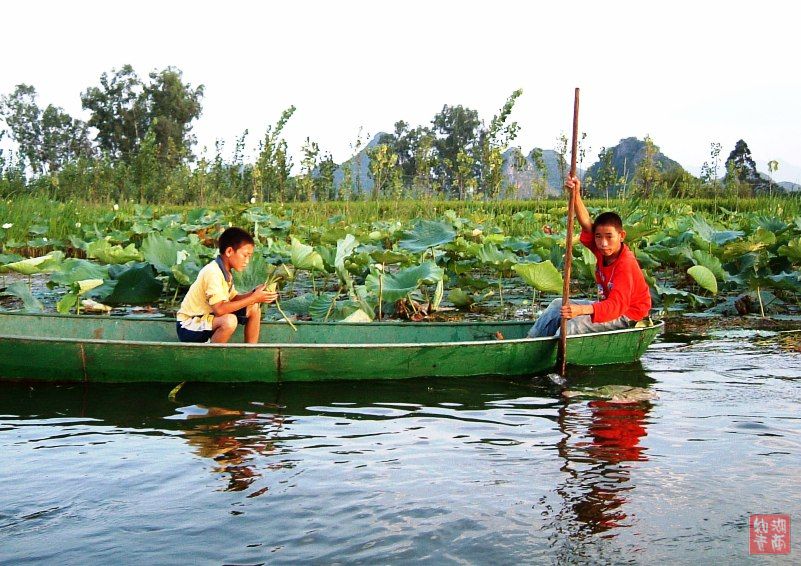 按此在新窗口浏览图片