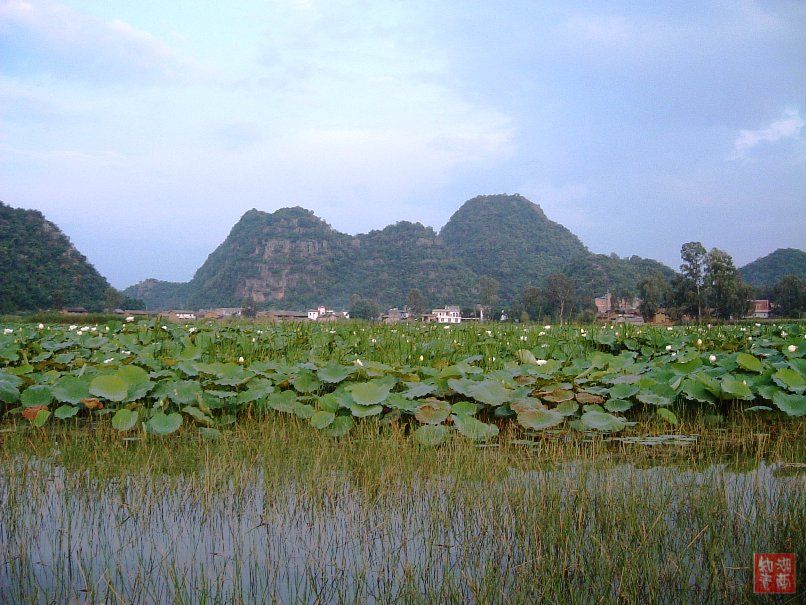 按此在新窗口浏览图片
