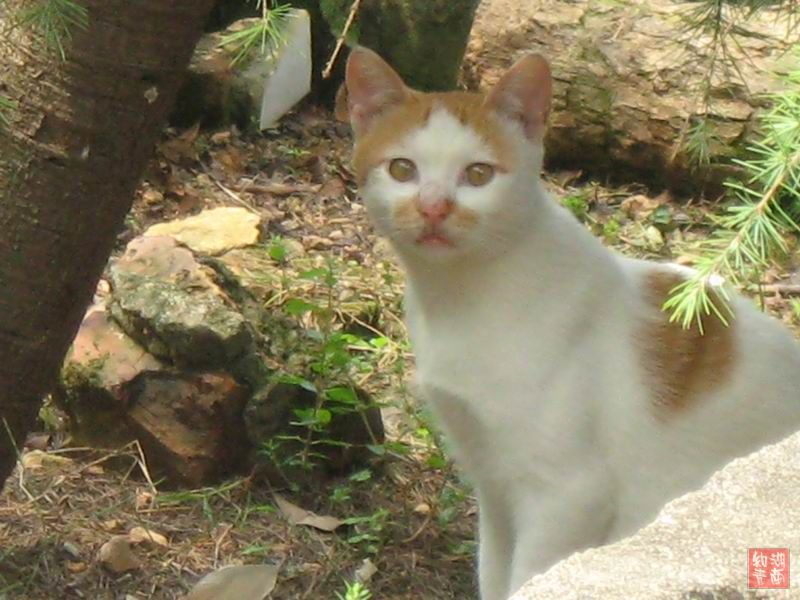 按此在新窗口浏览图片