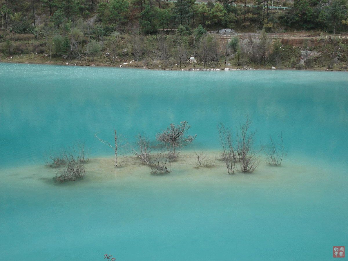 按此在新窗口浏览图片