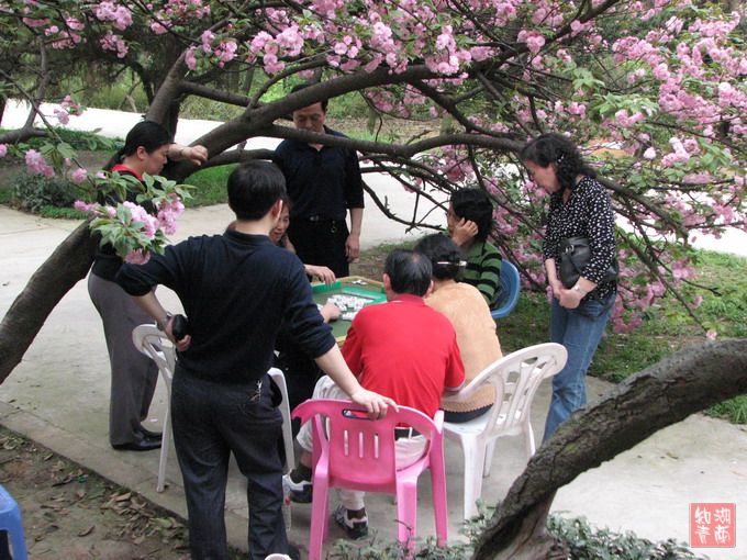 按此在新窗口浏览图片
