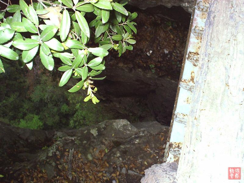 按此在新窗口浏览图片