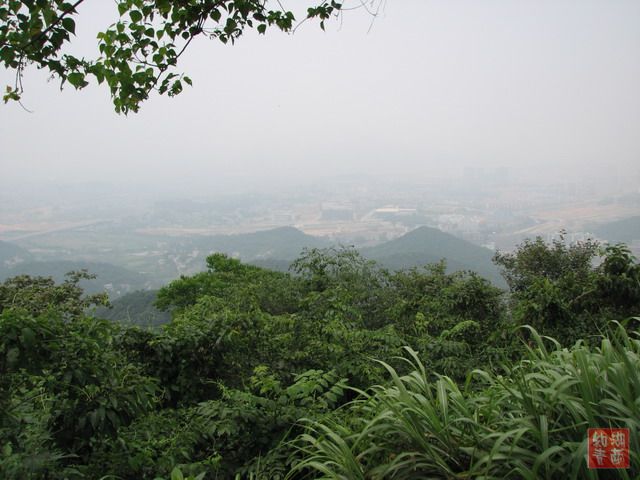 按此在新窗口浏览图片