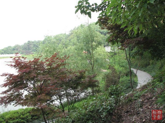 按此在新窗口浏览图片