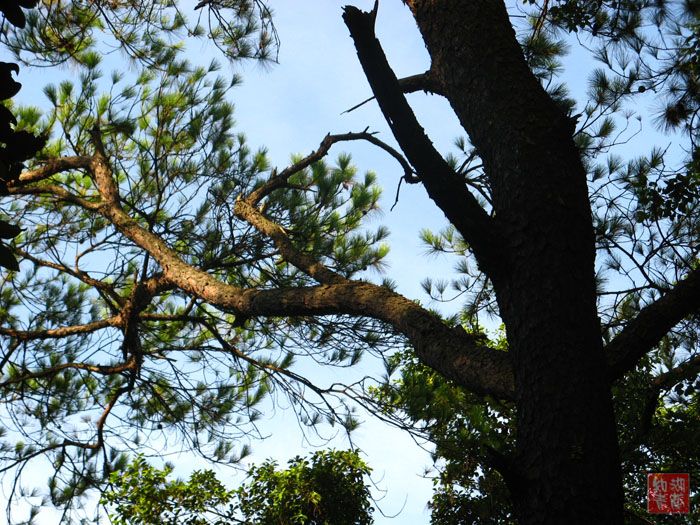 按此在新窗口浏览图片