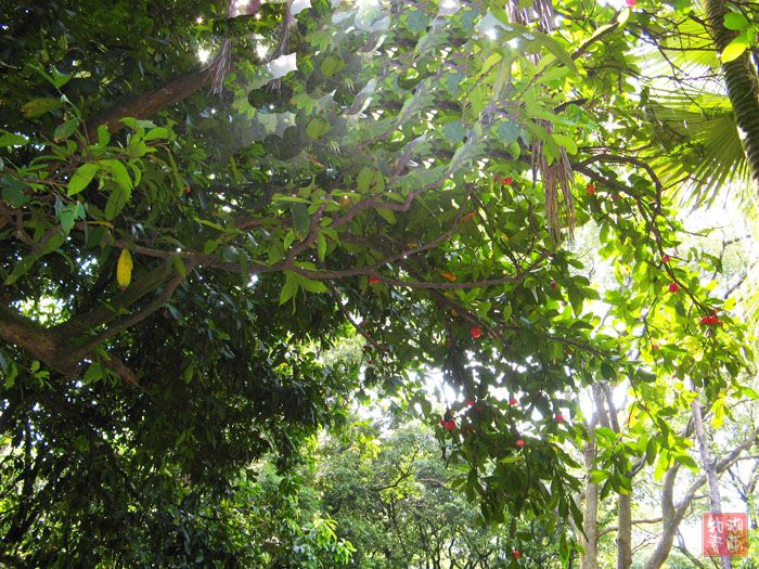 按此在新窗口浏览图片