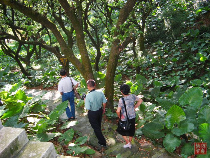 按此在新窗口浏览图片