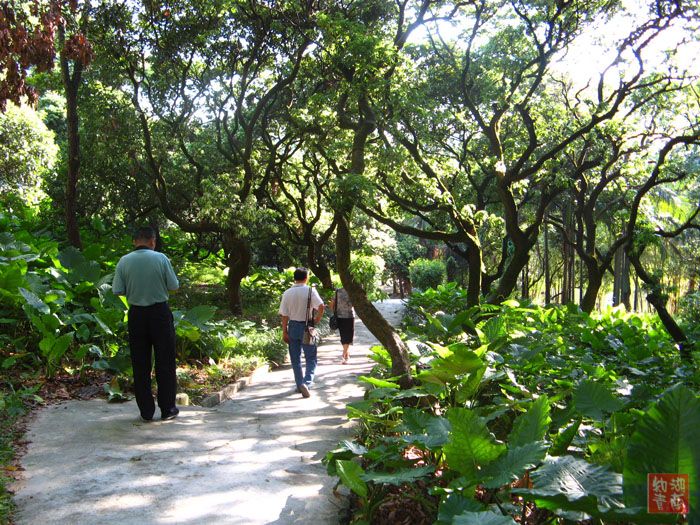 按此在新窗口浏览图片