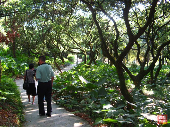 按此在新窗口浏览图片