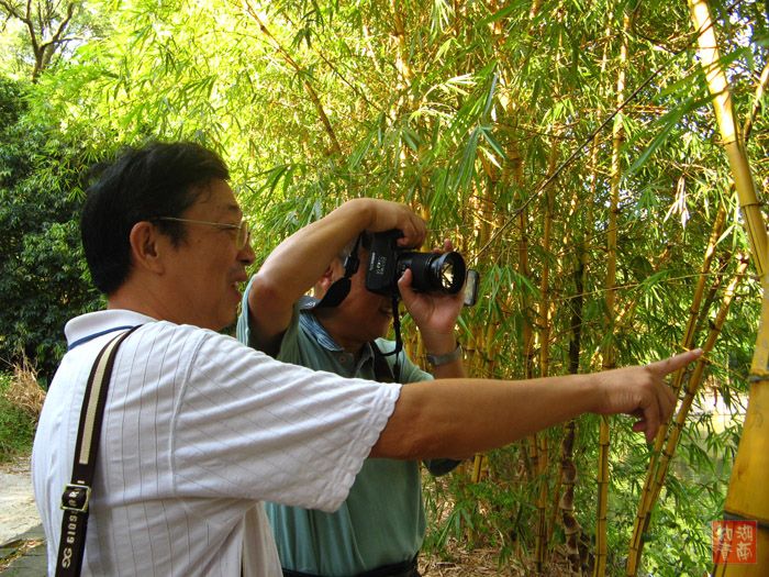 按此在新窗口浏览图片