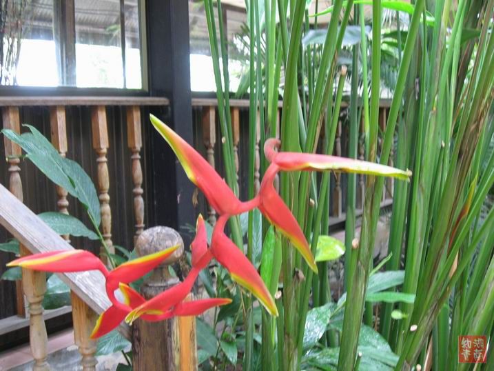 按此在新窗口浏览图片