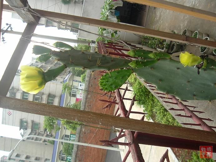 按此在新窗口浏览图片