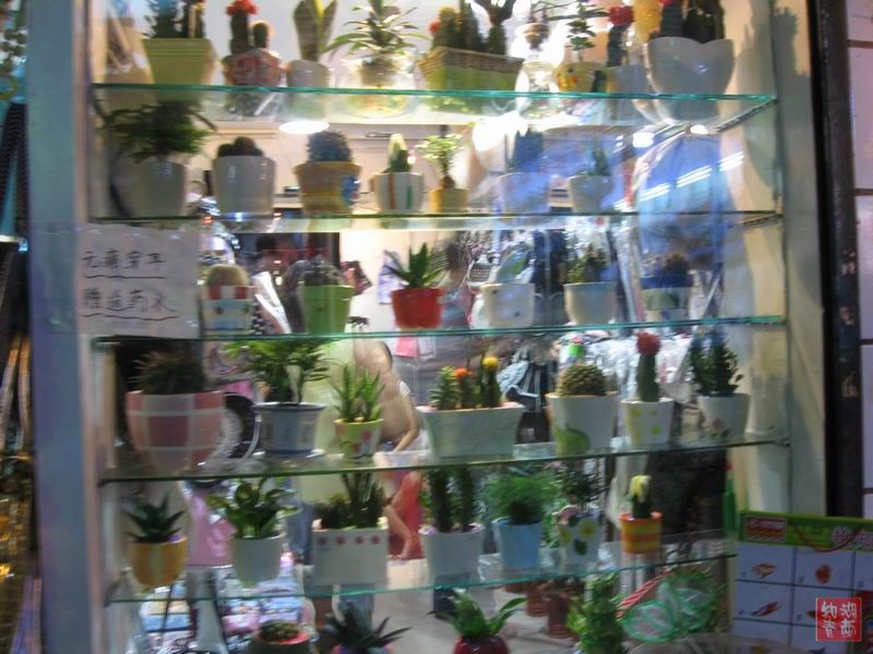 按此在新窗口浏览图片